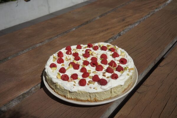 Pistachio Cheesecake